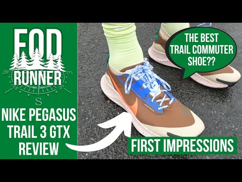 Nike Pegasus Trail 3 Gtx