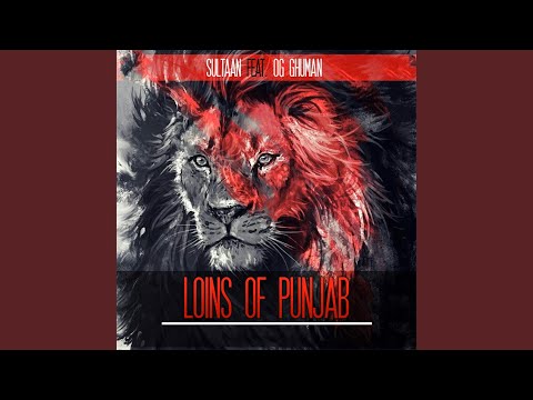Lions Of Punjab