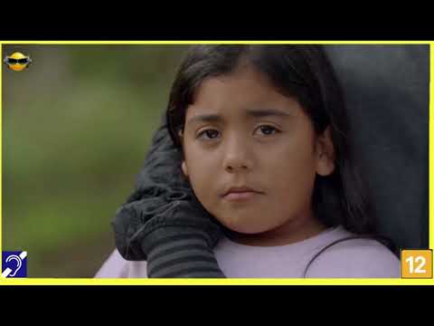 Tv Educativa Cortes Netflix Coprpo Humano Nosso Mundo - Dublado com Legendas Corte 10