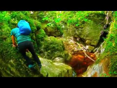 Scrambling Leck Beck (Ease Gill)