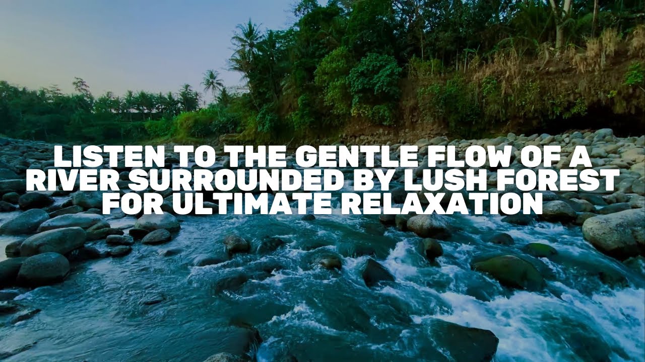 Listen to the Gentle Flow of a River Surrounded by Lush Forest for Ultimate Relaxation