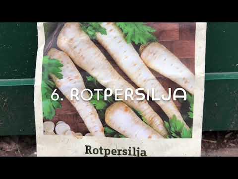 10 sådder i april maj på friland i trädgården eller odlingen för ditt självhushåll