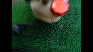 MOV01111