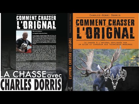 chasseur d'orignal. Étude de l'orignal par caméra de surveillance.