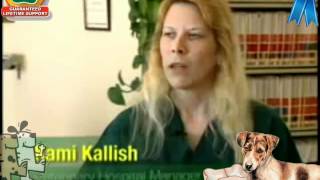 Bark Busters Home Dog Training Franchise Reviews - Therapy Dog Training and Behaviour Experts