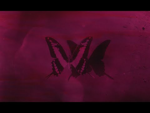 Francisco Victoria - Yo creí que eras mi amiga