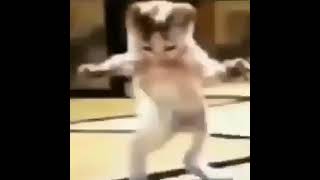 Download lagu Ringtone Aiya Iya mp3 Download lagu Ringtone Aiya Iya mp3