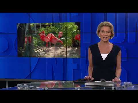 ABC Action News Latest Headlines | March 3, 6pm