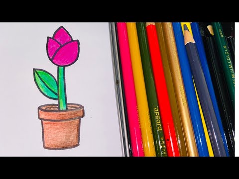 How To Draw A Tulip In A Pot - Plant A Flower Day
