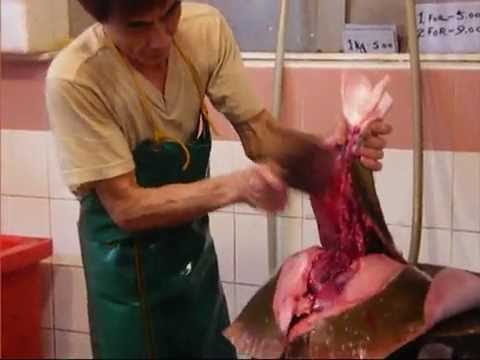 Singapore Chinatown Wet Market at Basement of Chinatown Complex
