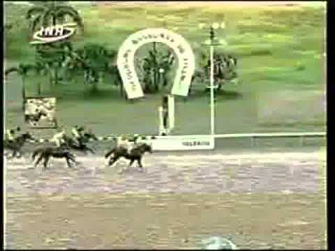 Resumen Viernes, 15 de Agosto de 2014 - Valencia