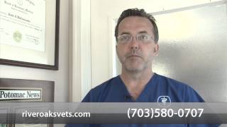 preview picture of video 'River Oaks Veterinary - Short | Woodbridge, VA'