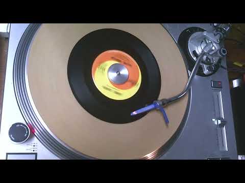 Danke Schoen   Wayne Newton   1963