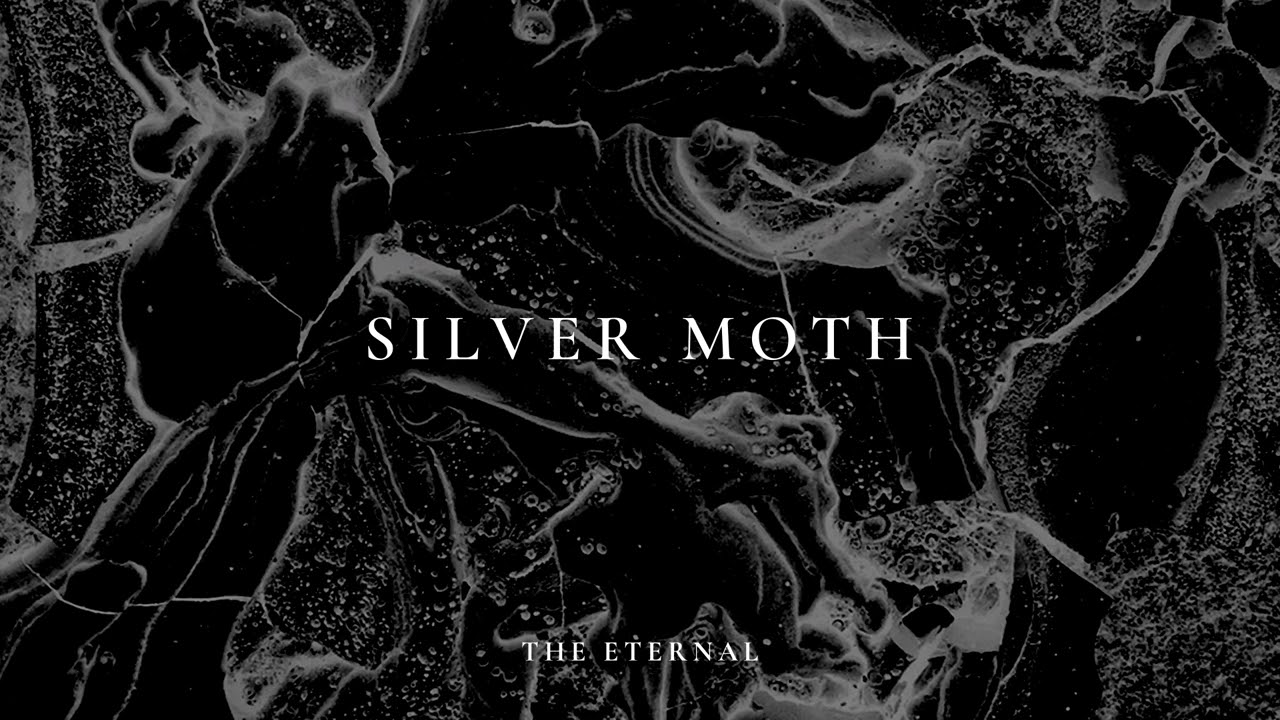 Silver Moth - The Eternal (Official Audio) - YouTube