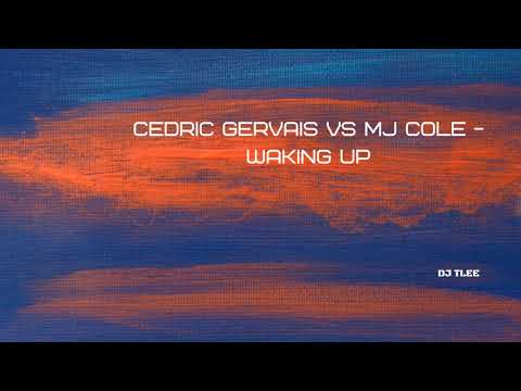 Cedric Gervais vs MJ Cole - Waking Up