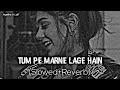 Tum Pe Marne Lage Hain | Slowed~Reverb | Shikaar | Udit Narayan, Alka Yagnik ✨