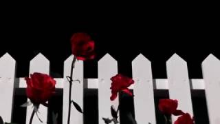 Lil Ugly Mane – Radiation (Lung Pollution)