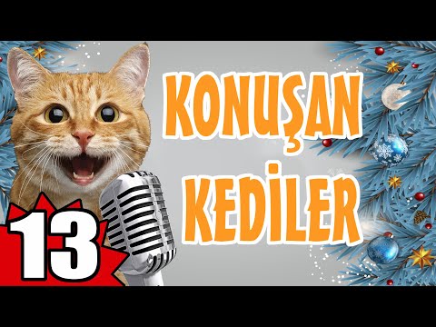 KONUŞAN KEDİLER 13 - EN KOMİK KEDİ VİDEOLARI