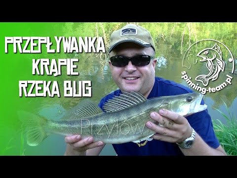 Co znaczy wyleczyć włosy Recepty wypadanie włosów
