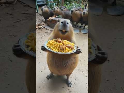 🔥 Capibara Sings the Chicken Wing Song & Dances! 🐹🎶