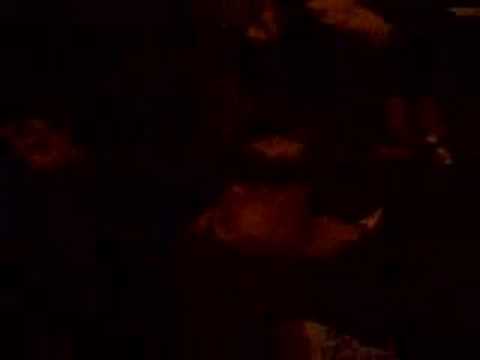 ZebeU in concert 5.10.2007