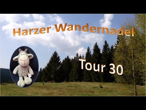 Rückblick  Tour 30 - Stempel 99-100-198-216