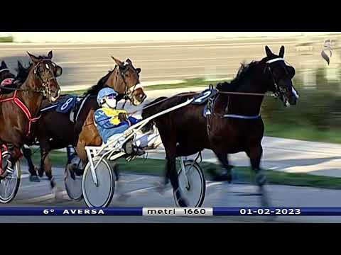 Aversa trotto 1 Febbraio 2023 - 6° Corsa