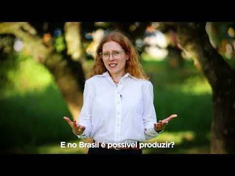 O que é Hidrogênio Verde?