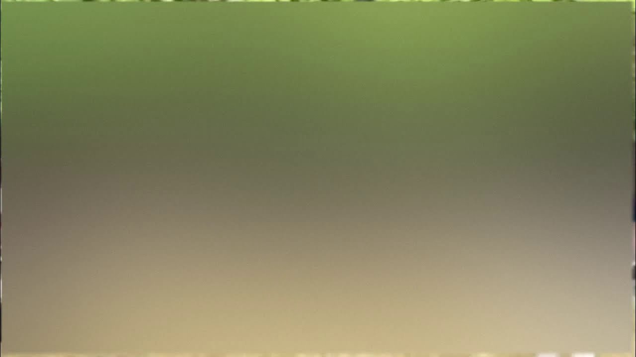 Thumbnail of video: Extrait de la réunion en plein air - Draveil (Shora KUETU - 14/07/15) 