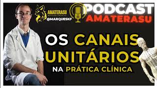 Acupuntura e MTC - Canais Unitários na Prática Clínica - Parte 01