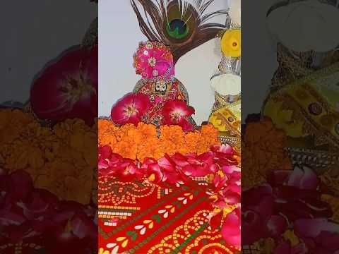 Hamare do hi ristedar 💞 Jai shree shyam 🌼 hare Krishna ❤️       #harekrishna #jaishreeshyam