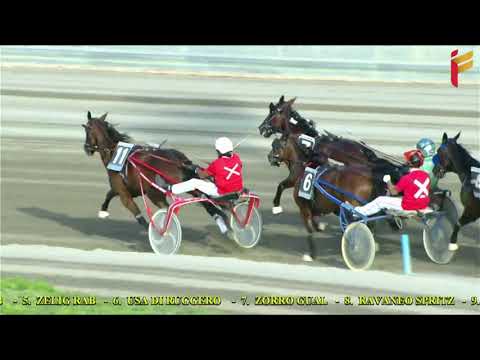 V Corsa del 7 Luglio 2021 - Qualificazione Trofeo Regioni d'Italia 2 - Metri 1600 -  Gentlemen