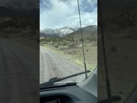 drive to the River campground