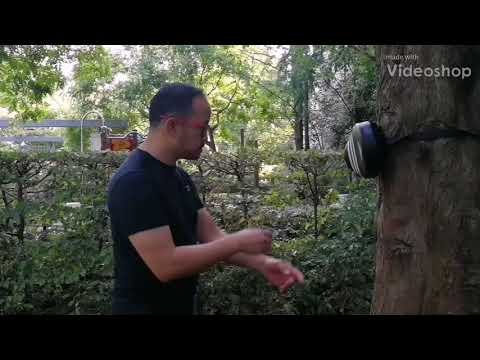 Wan Kam Leung Practical Wing Chun (France) - Sifu Lee Teck Meng - light pad work