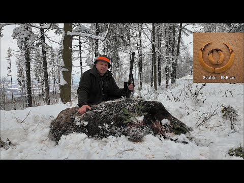 Spotkałem Myśliwych - odcinek 518  Wielkie Beskidzkie Łowy. Odyniec na okrasę