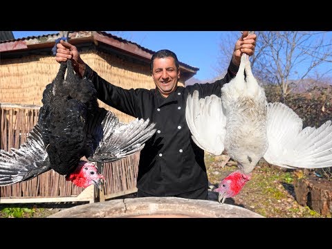 Tandoori Turkey Recipe | How to cook thanksgiving turkey perfectly | Wilderness Cooking Recipes