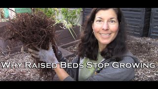 #1 Reason Why Raised Beds Decrease in Productivity / Performance After a Year or Two