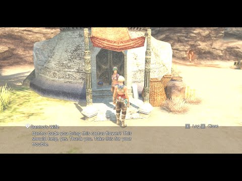 FFXII TZA NG- : Desert Patient Side Quest (1st half)