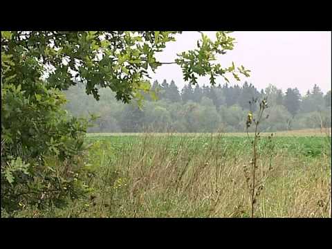 Fachkräfteporträt LEW