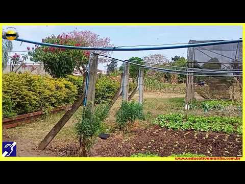 Tv Educativa Giro Pela Cidade Visita Dep  Fed Vicentinho PT à CEAGESP Marília S P