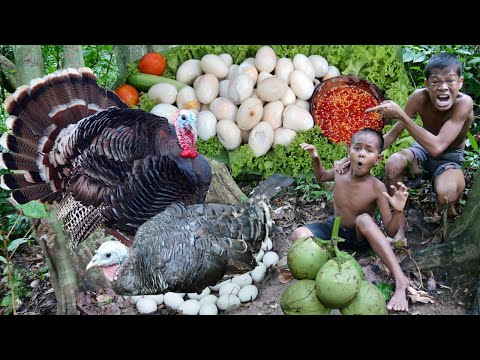 Primitive Technology - Kmeng Prey - See Turkeying Egg Cooking With Coconut
