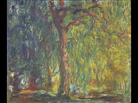 Re-Framing the Weeping Willow