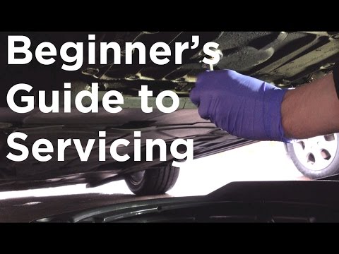 How To Service Any Car  (EASY Guide)