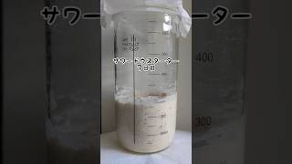 Sourdough starter 初めてのサワードウスターター７日目 #shorts #sourdough #sourdoughstarter #サワードウ #firsttime