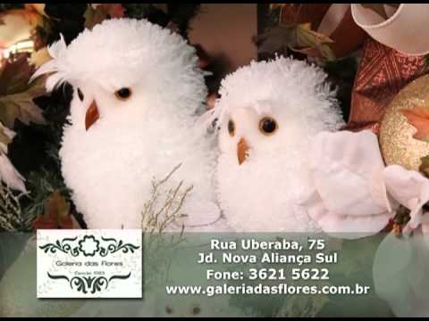 Programa Neusa Bighetti exibido no dia 03/11/2013 -  Galeria das Flores