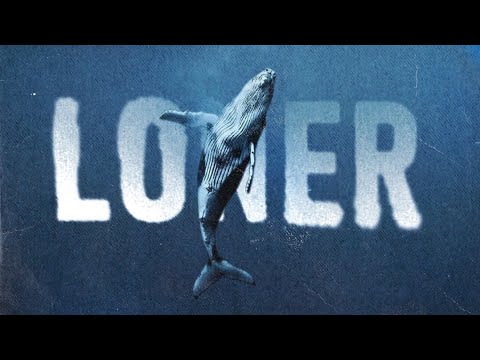 Sadegh x Bahram - Otagh (Fama Remix)