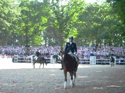 Bundeschampionate 2011: "Callaho's Benicio" v. Belissimo x Velten Third - Abreiteplatz