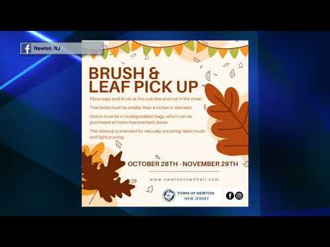 Newton Brush and Leaf