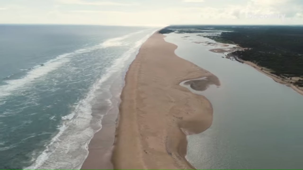Odisha, a whirlwind of terror | India 2050 | 29 December 9 PM