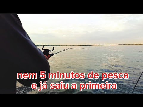 Pescaria de Piapara com acampamento no Porto Figueira/ Rio Paraná/ peixe frito 